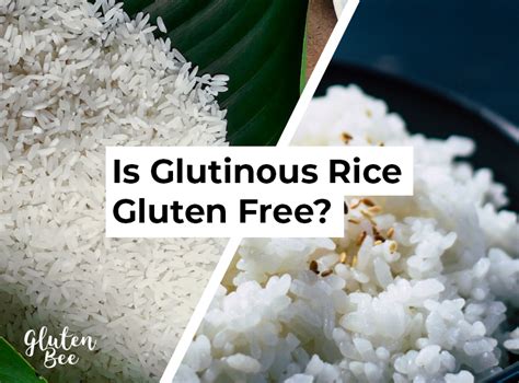 How is glutinous rice gluten free